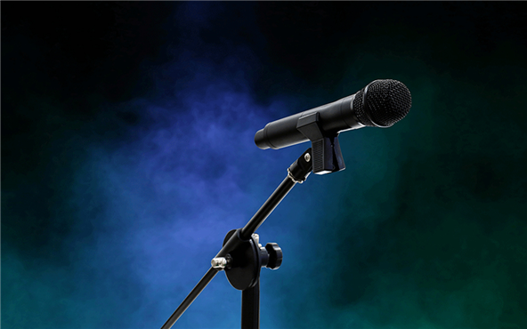 Application of Sapphire Gasket in Microphone Products